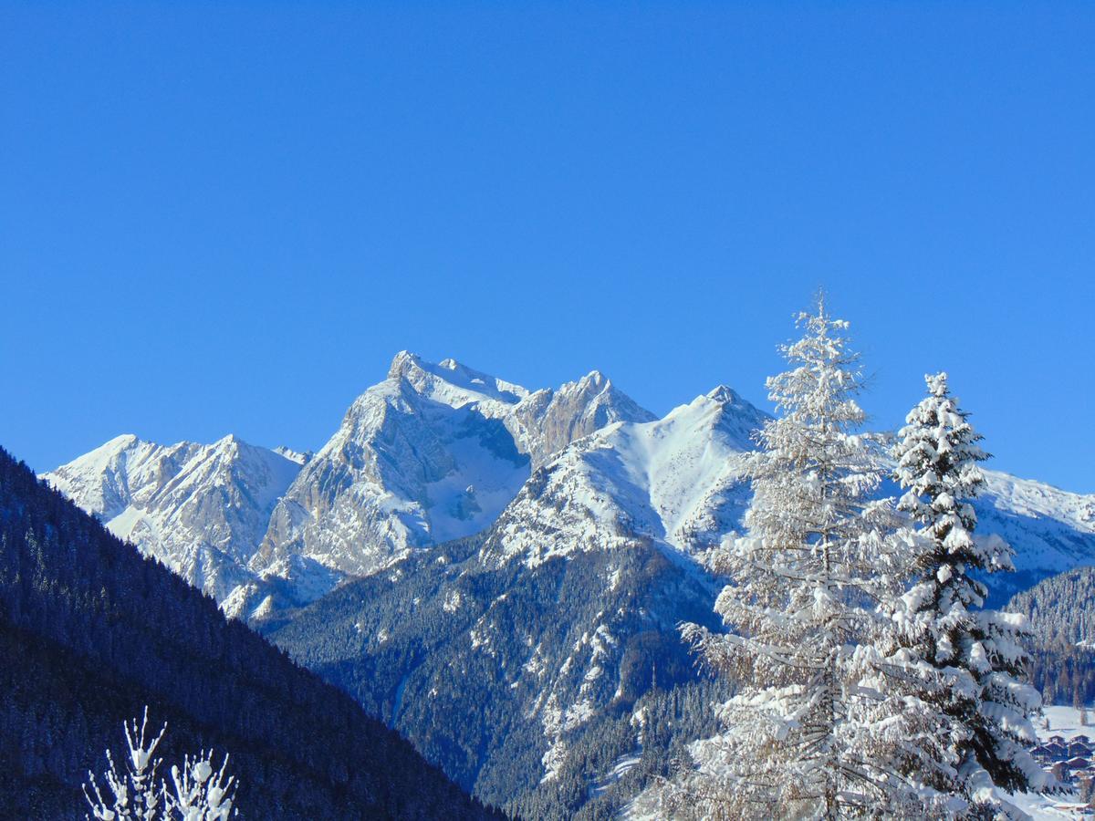 Hotel Garni La Stua Selva di Cadore Exterior foto